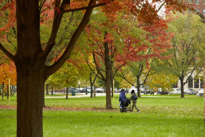 Two people walking through a park with vibrant autumn trees, pushing a stroller on a grassy path.