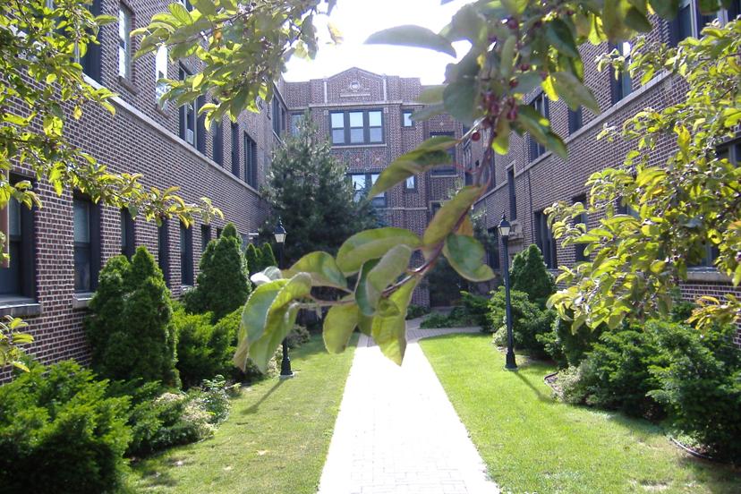 Ellis Court