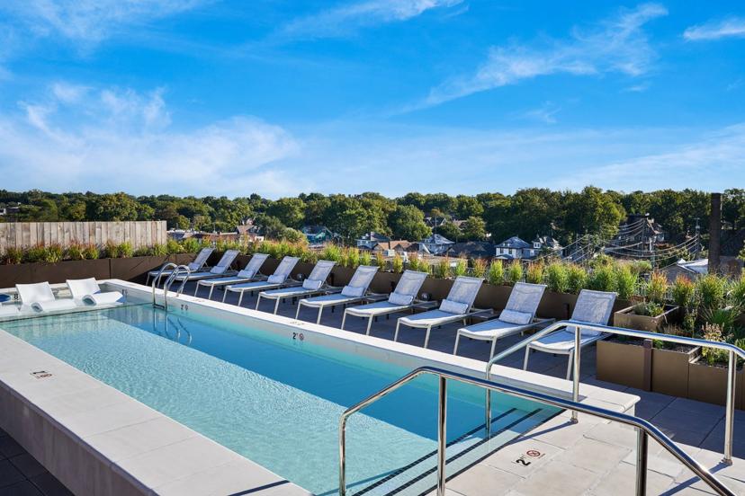 Rooftop pool with lounge chairs and greenery, overlooking a neighborhood with houses and trees under a clear blue sky.